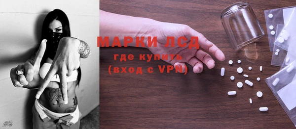 шишки Бородино