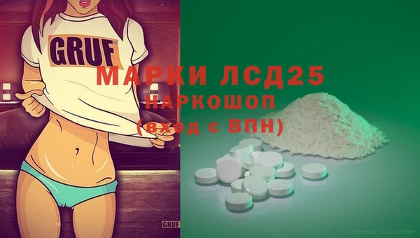 шишки Бородино