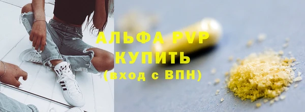 шишки Бородино