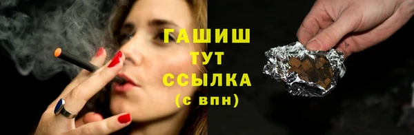 шишки Бородино