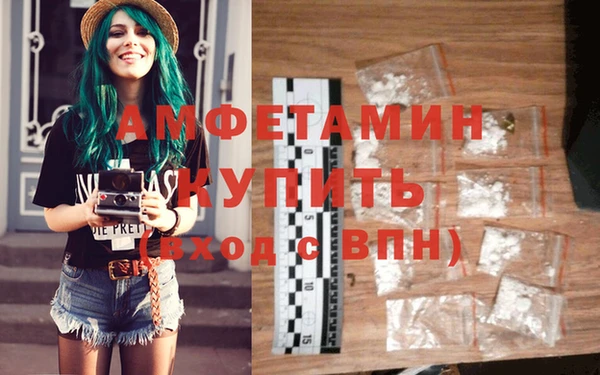 шишки Бородино