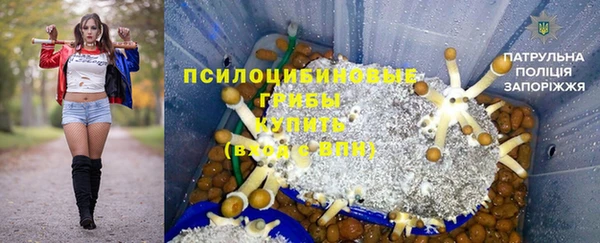 ешки Бугульма