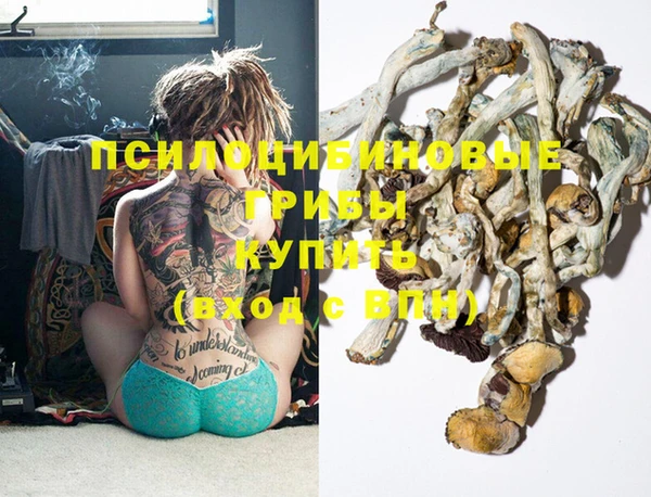 MDMA Верхний Тагил