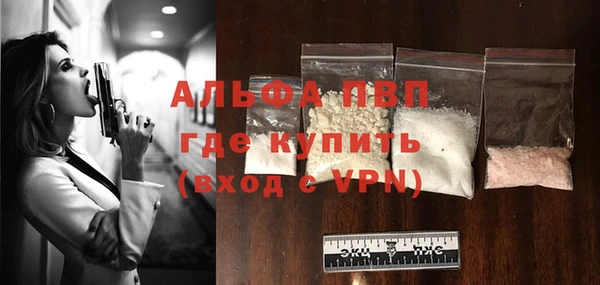 шишки Бородино